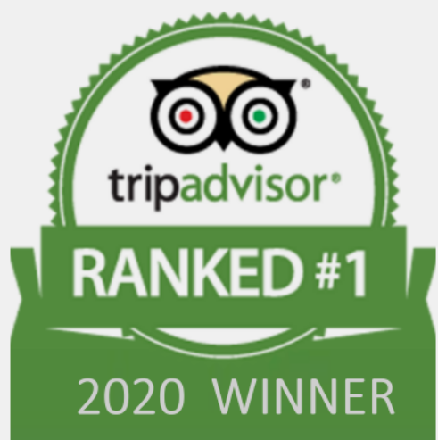 san_francisco_-reviews-_testimonials-alcatraz